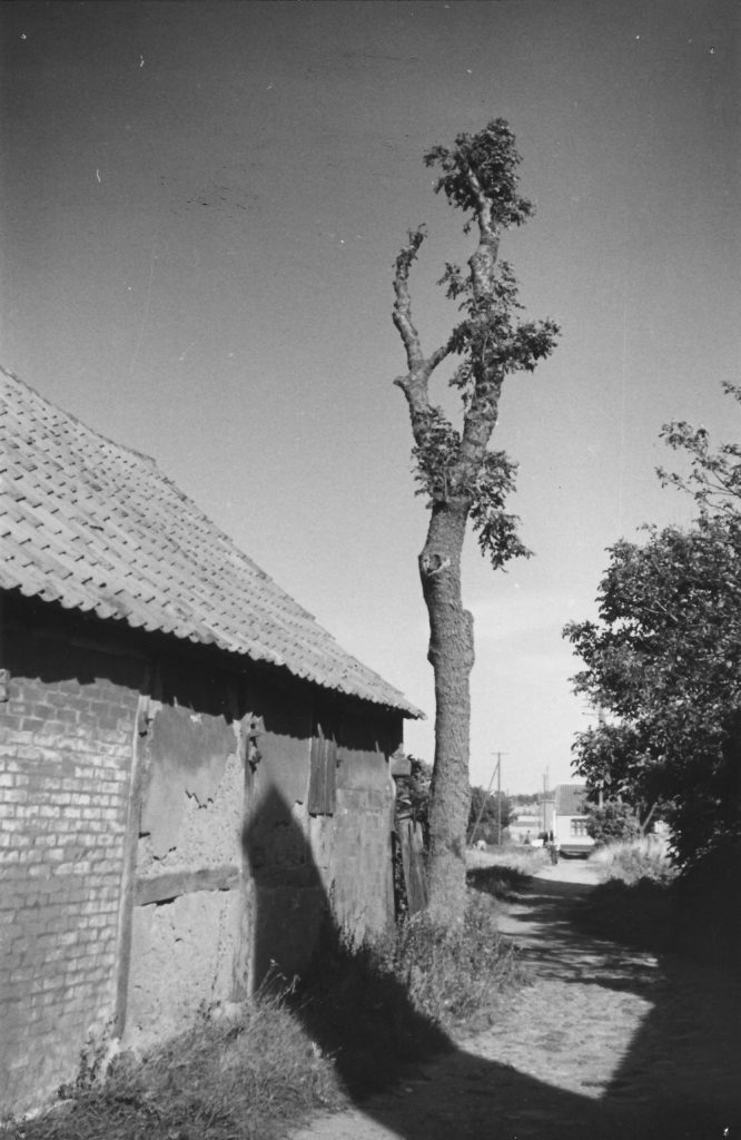Ditten- Strasse